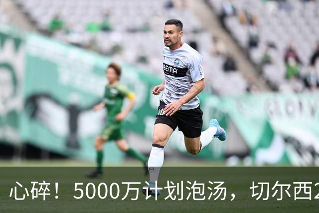 心碎！5000万计划泡汤，切尔西24小时截胡新星，国米马洛塔真束手无策？